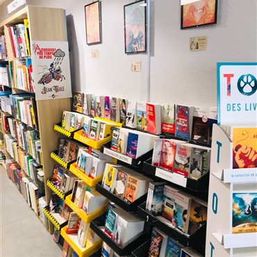 Livres, bd, livres jeunesse, mangas, librairie Millau